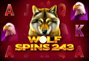 Wolf Spins 243 by 1Spin4Win