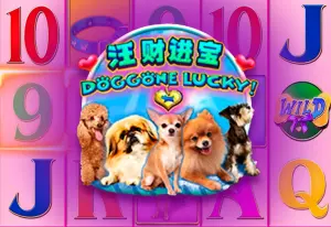 Doggone Lucky! by Aspect Gaming