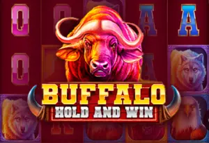 Buffalo Hold and Win by Booming Games