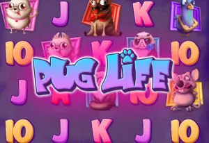 Pug Life by Hacksaw Gaming