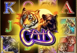 Cats by IGT