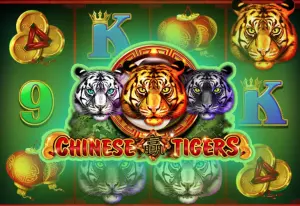 Chinese Tigers by Platipus