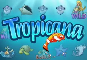 Tropicana by Spigo