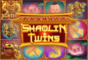Shaolin Twins by Spinmatic